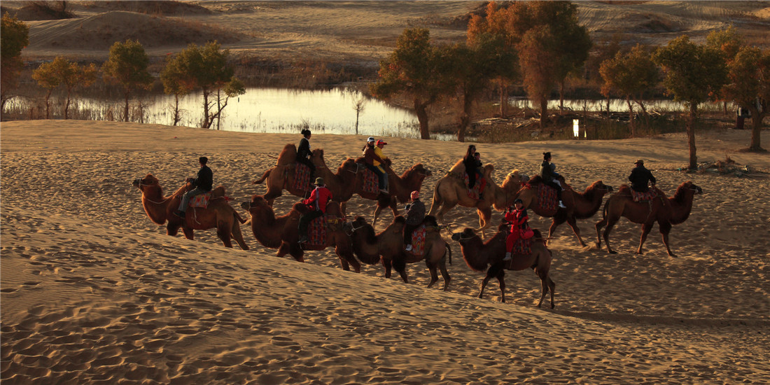 126723���� (2).jpg