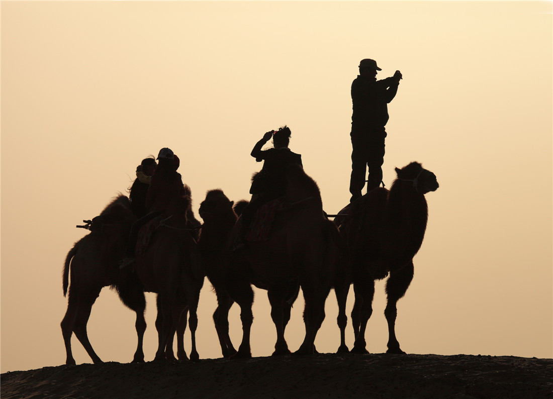 126723���� (1).jpg