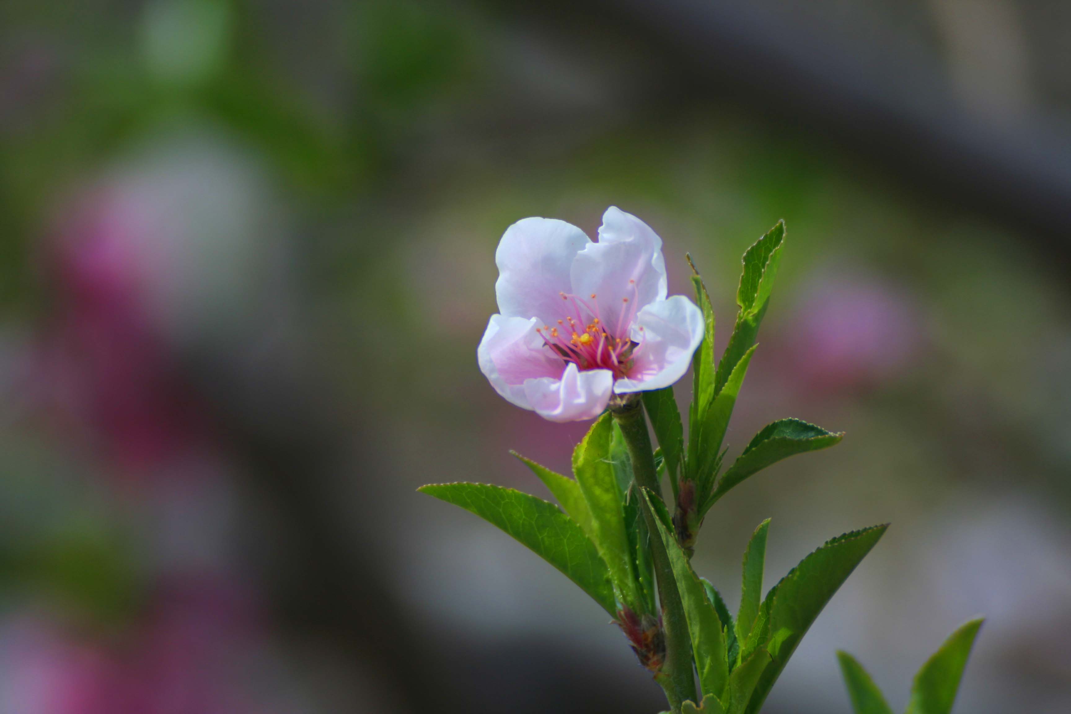 ���͹㳡 0340.jpg