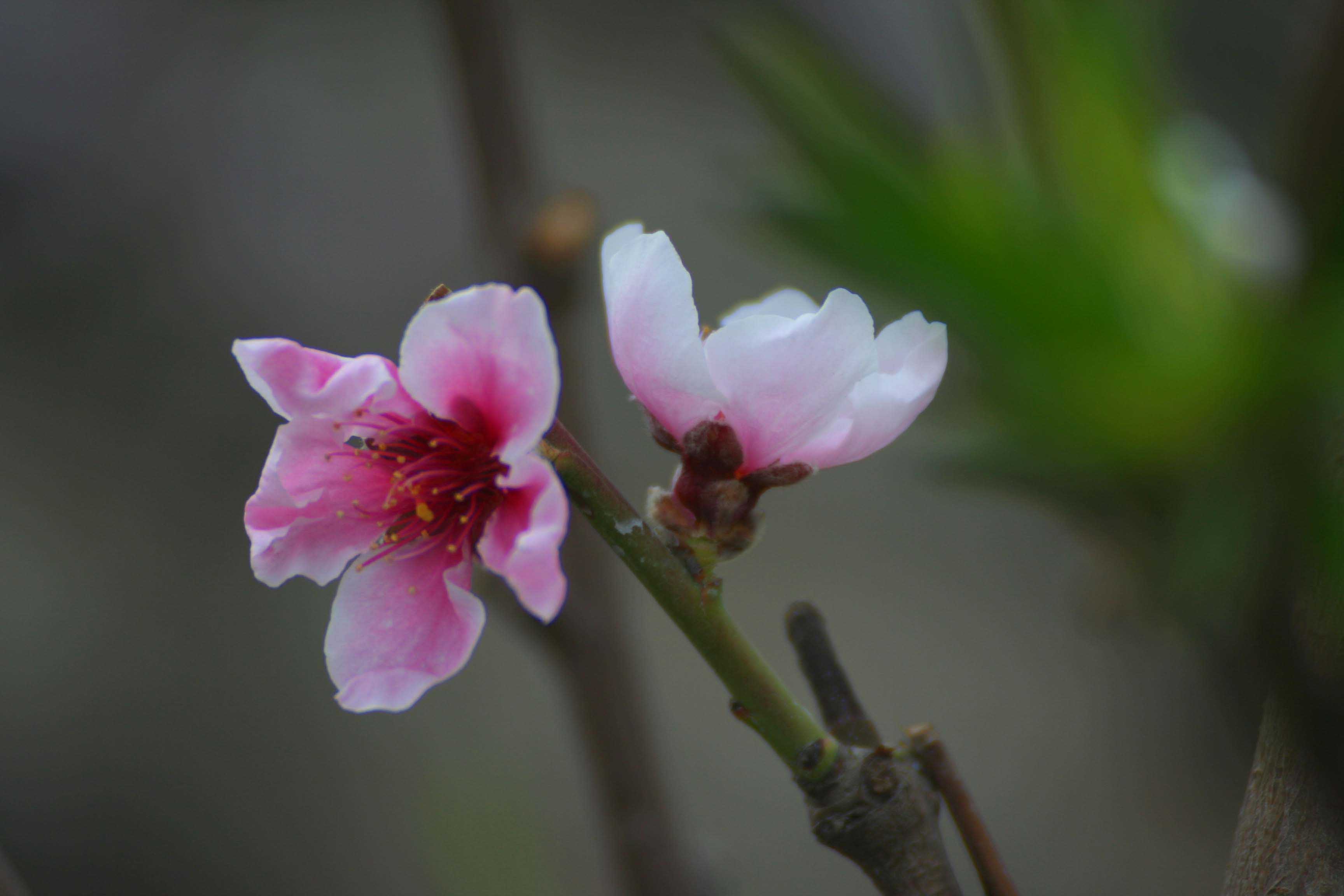 ���͹㳡 0511.jpg