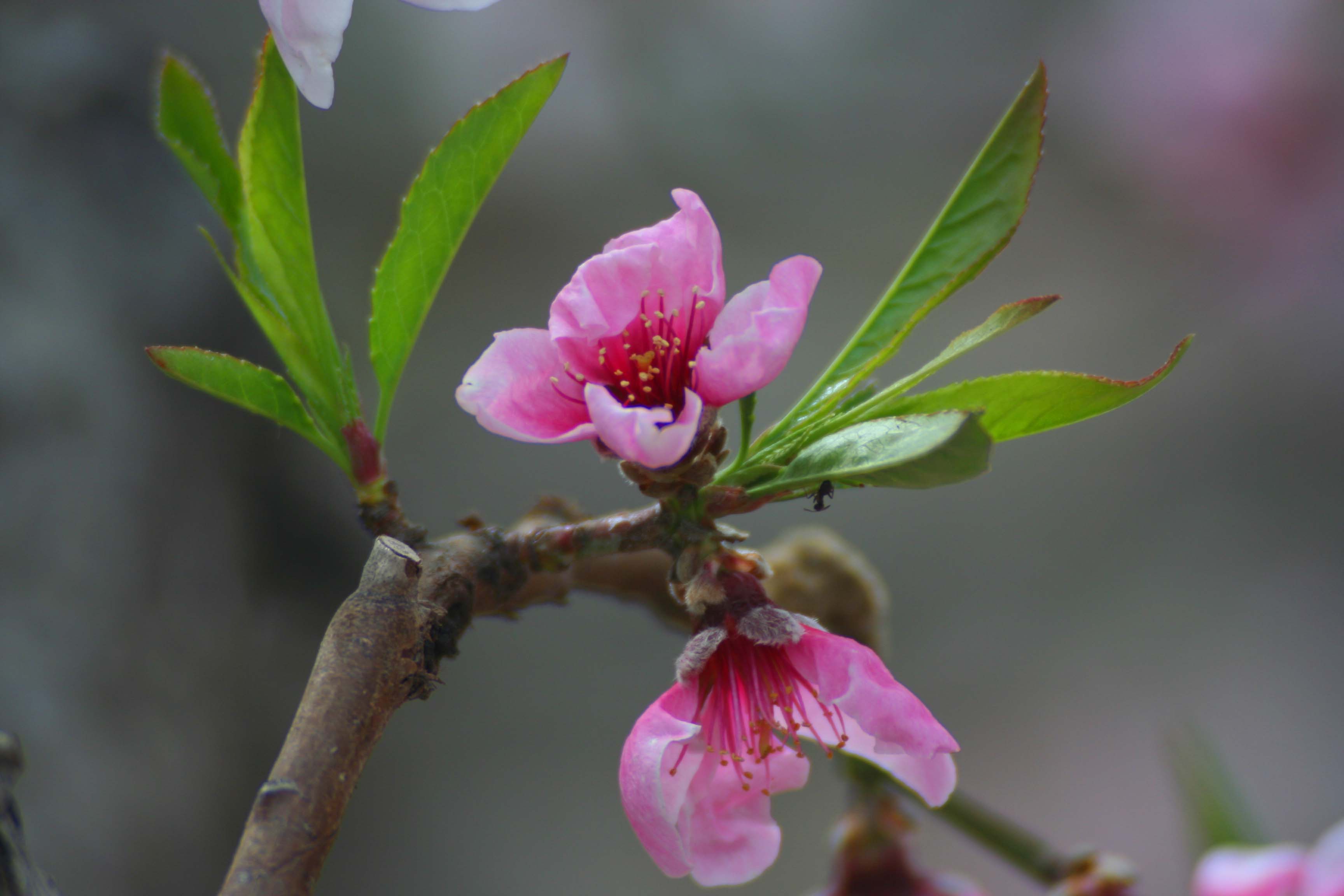 ���͹㳡 0520.jpg