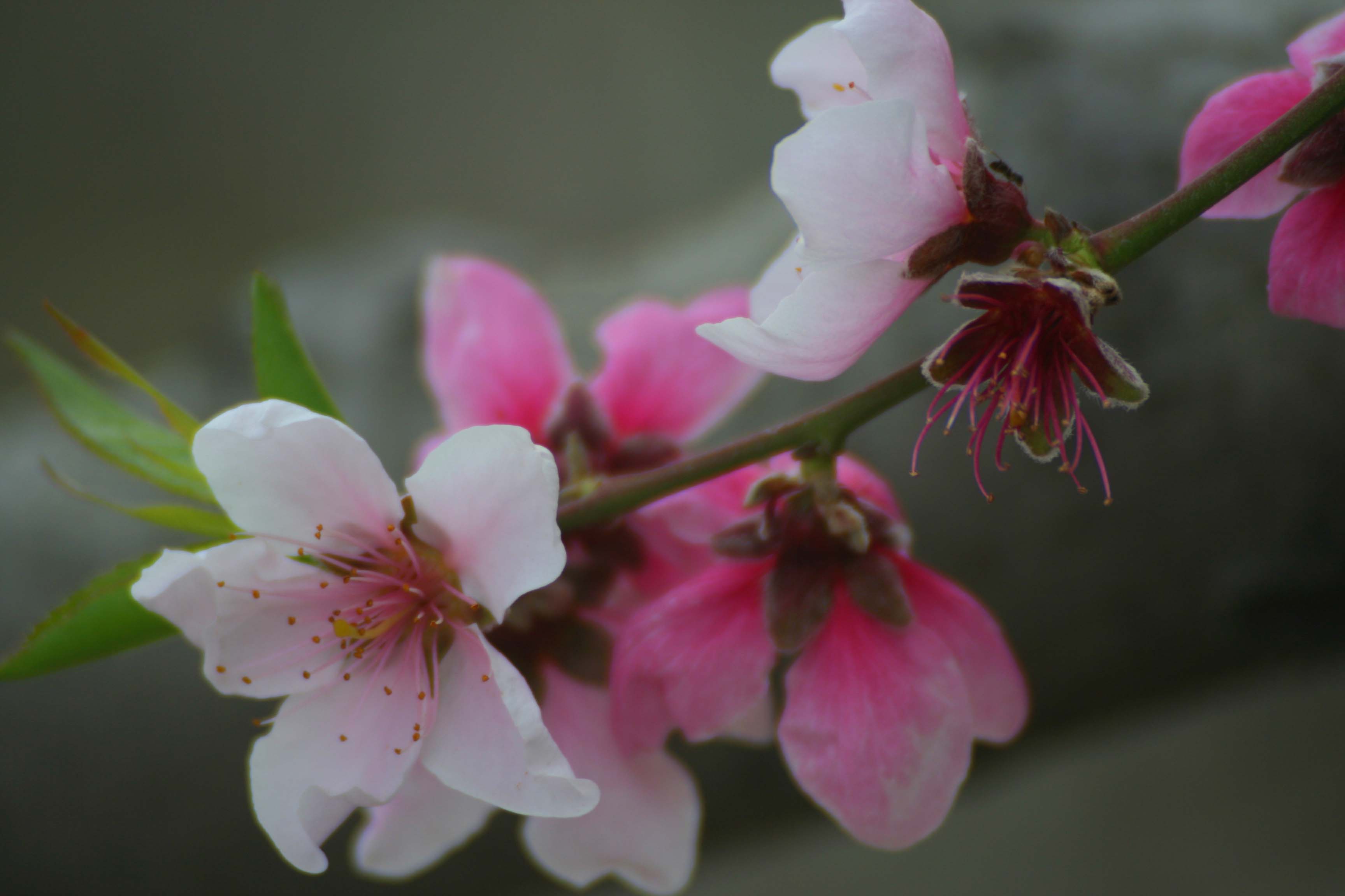 ���͹㳡 0560.jpg