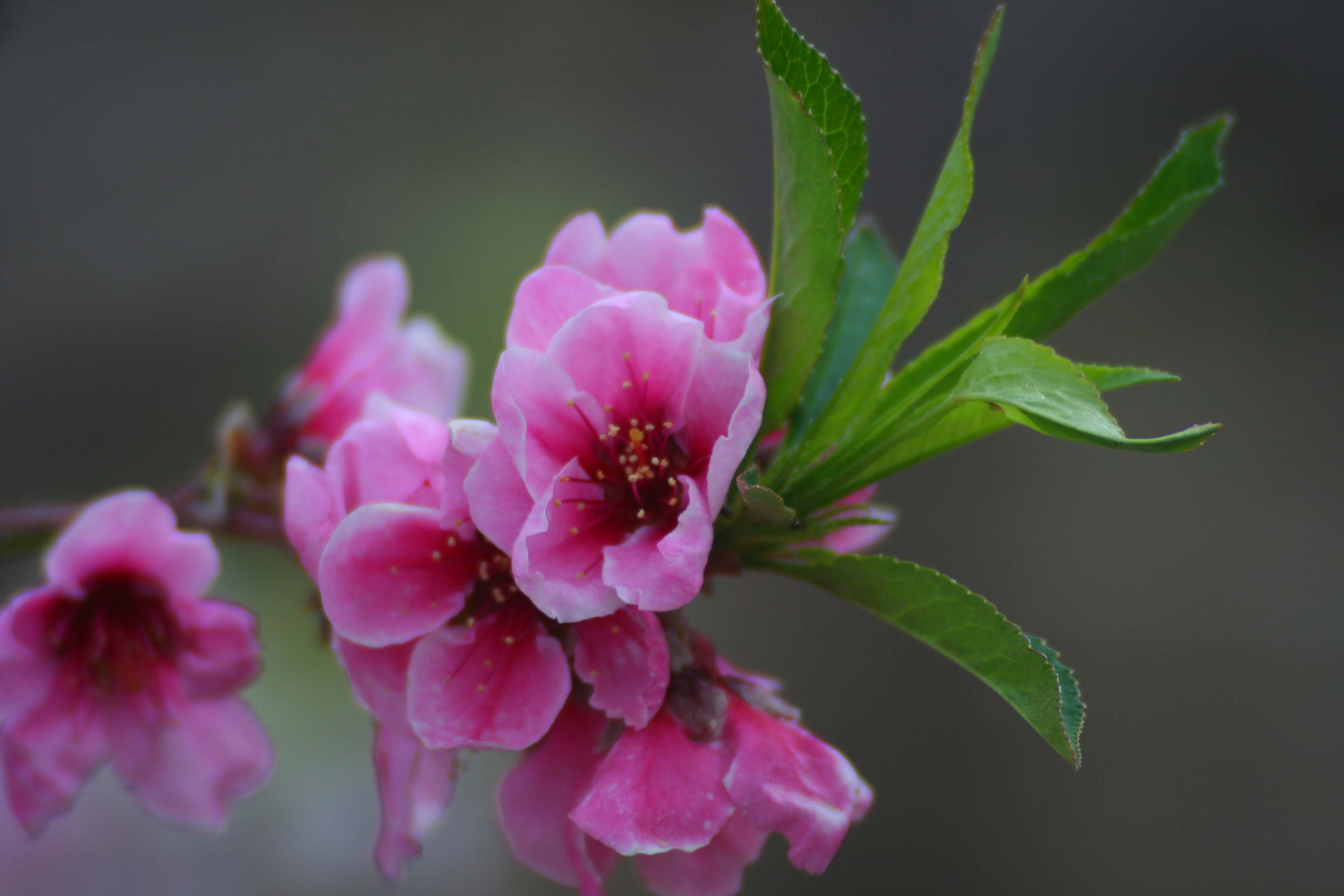 ���͹㳡 0580.jpg