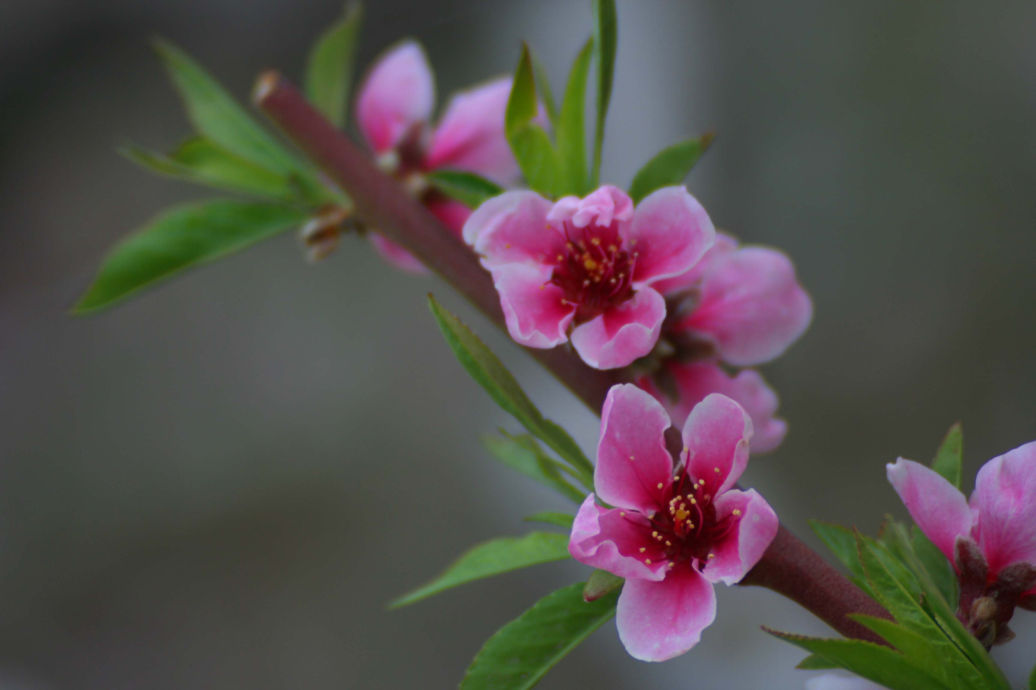 ���͹㳡 0690.jpg