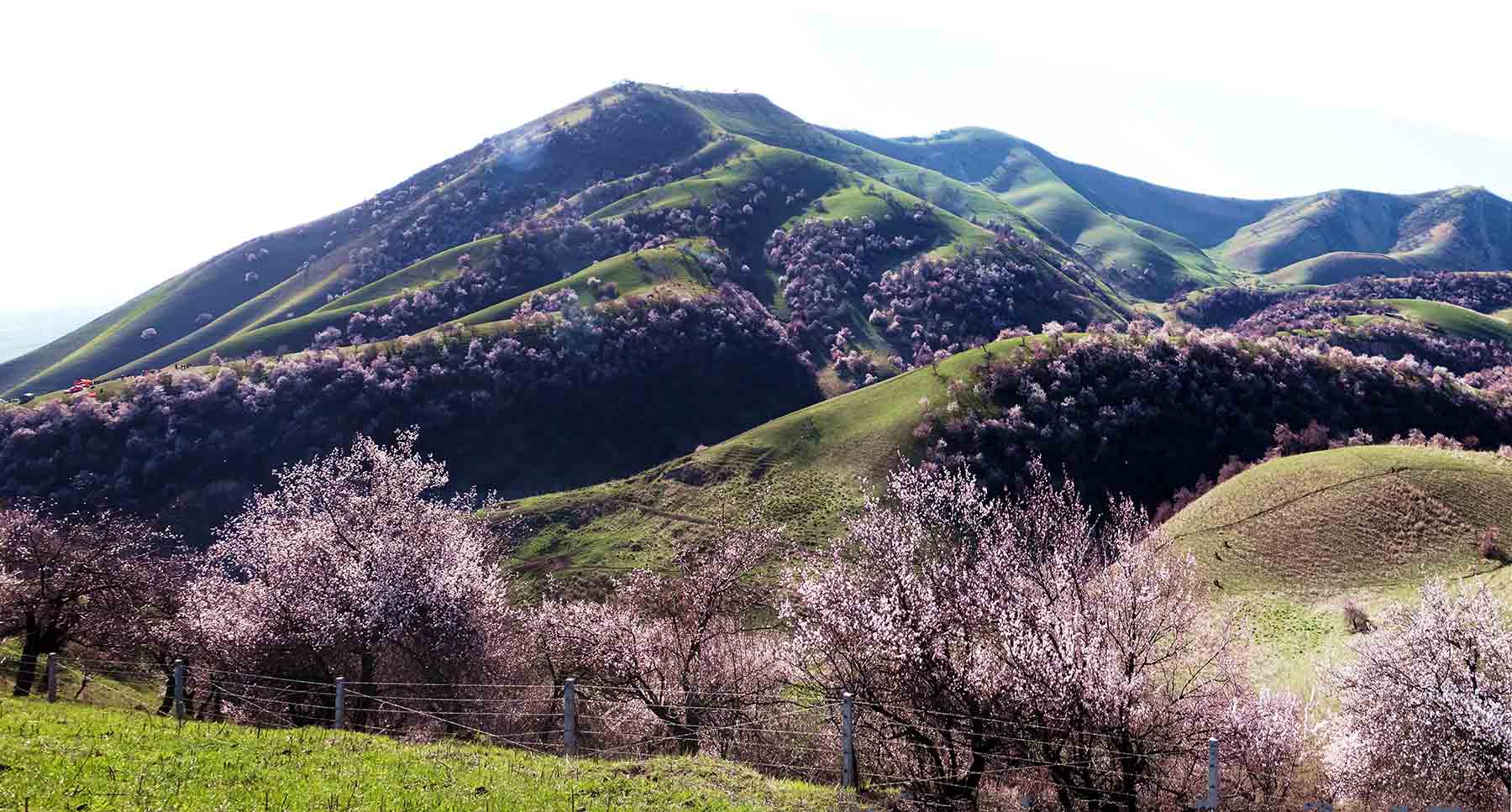 �߽��½�������Դ�������ӻ��������� (4).jpg