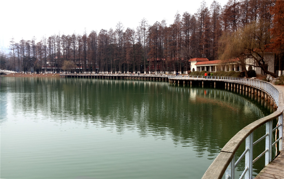 ���е�Ӱ (2).jpg