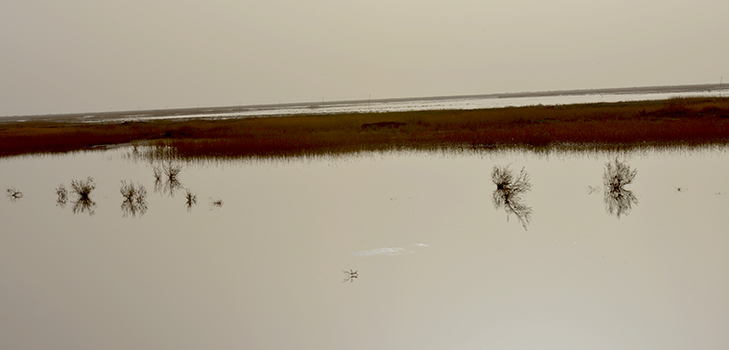 ���ػ��Ѻ��A