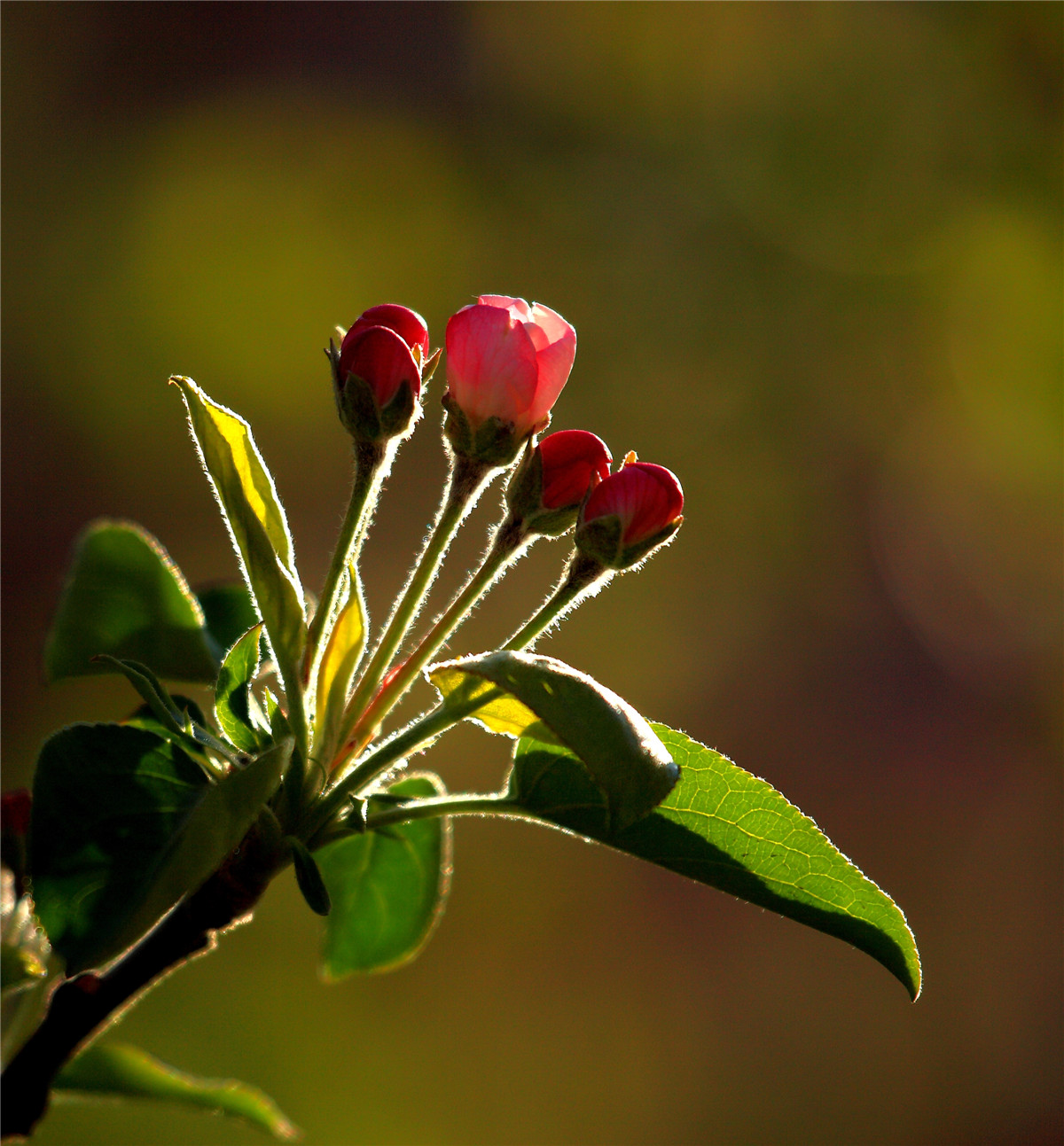 ���� (1).jpg