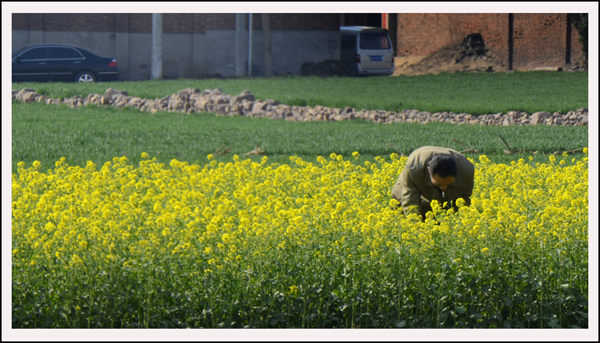 2014��3��20�ղ軨��Ƭ���� 08612.jpg