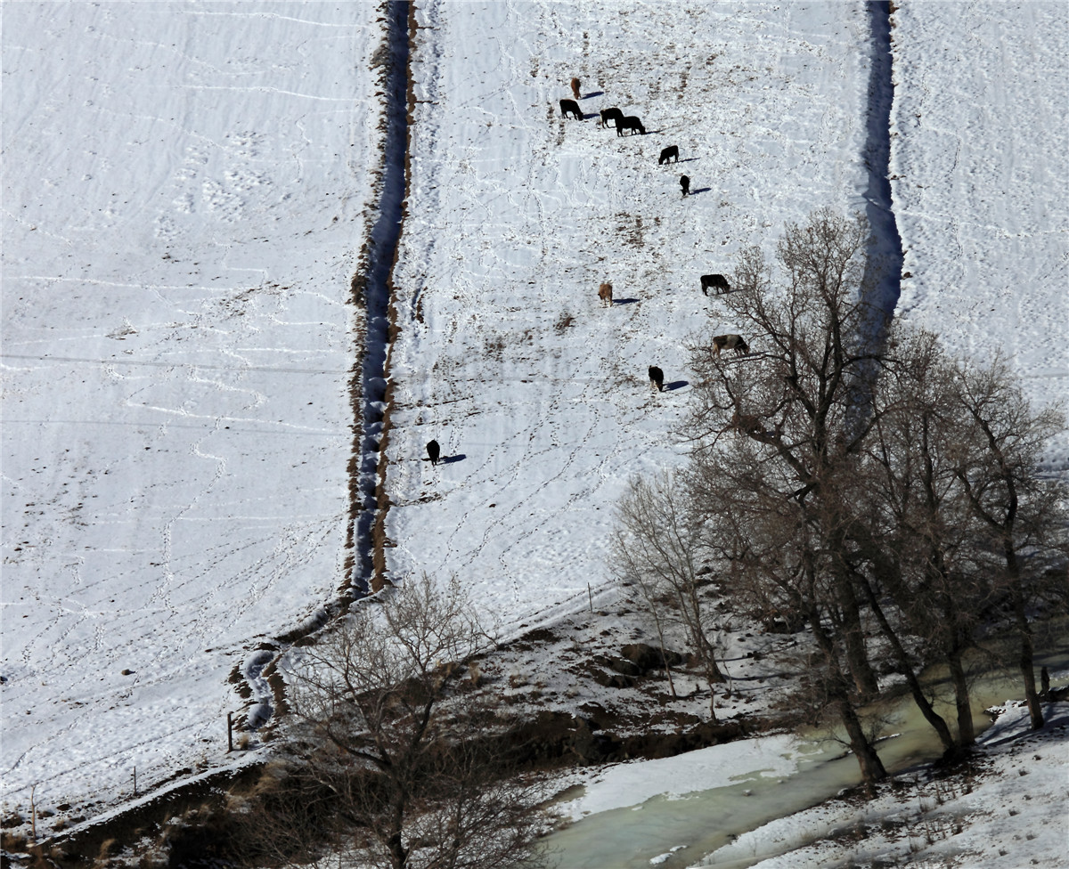 �����˼� (1).jpg