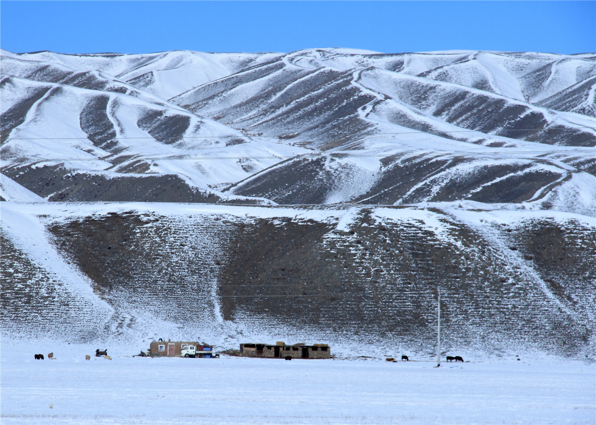 �����˼� (3).jpg