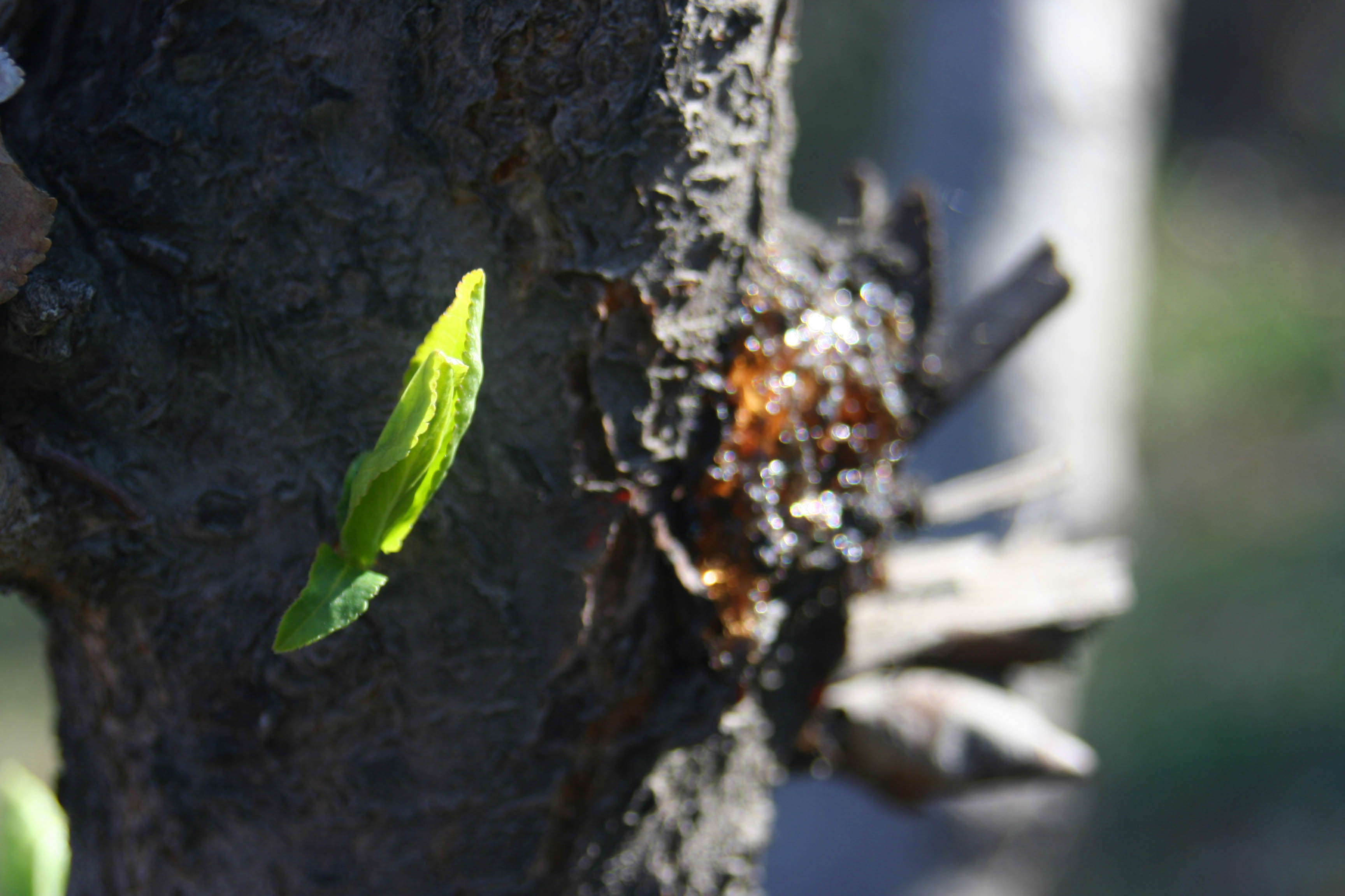 ���͹㳡 008 ����.jpg