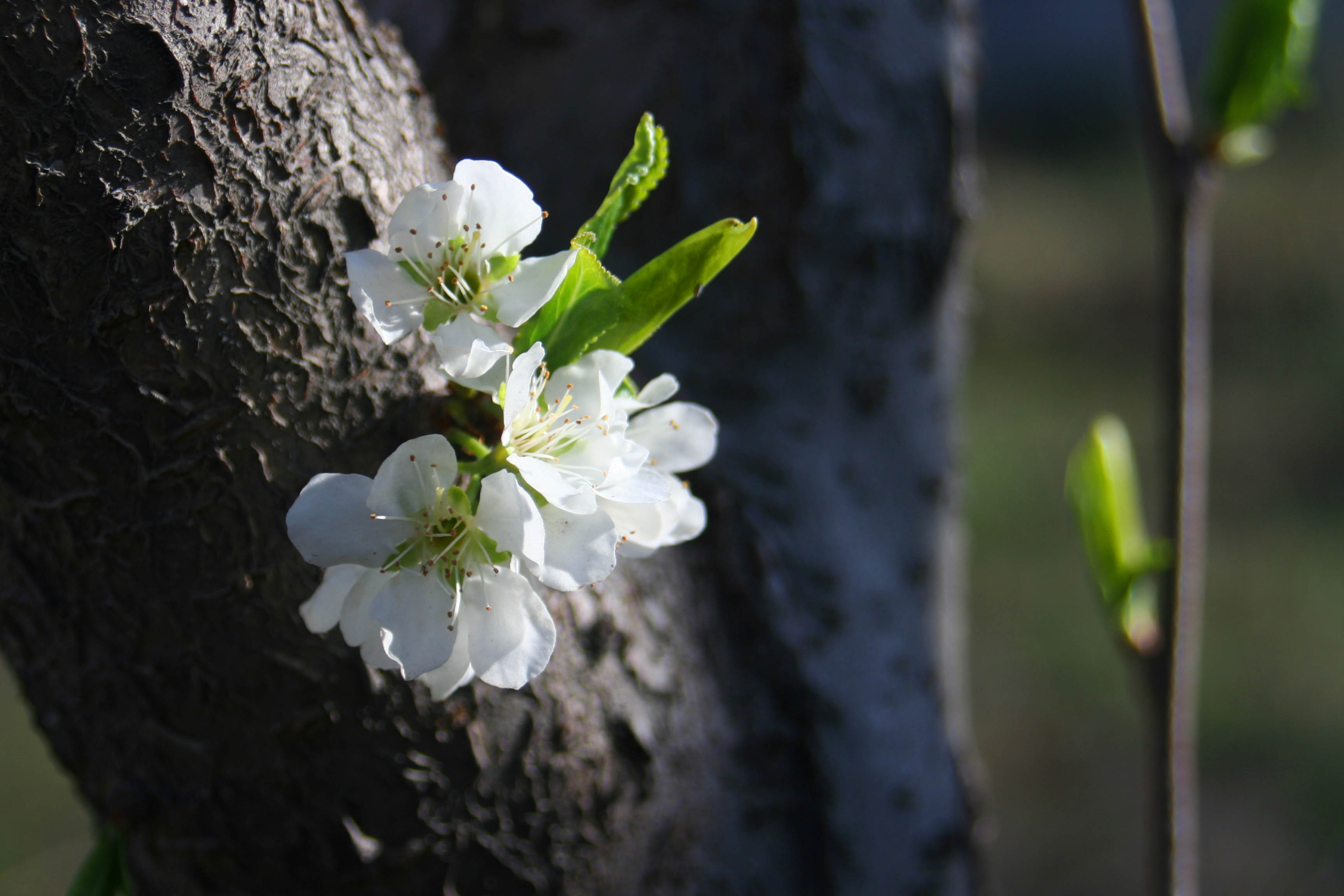 ���͹㳡 009 ����.jpg