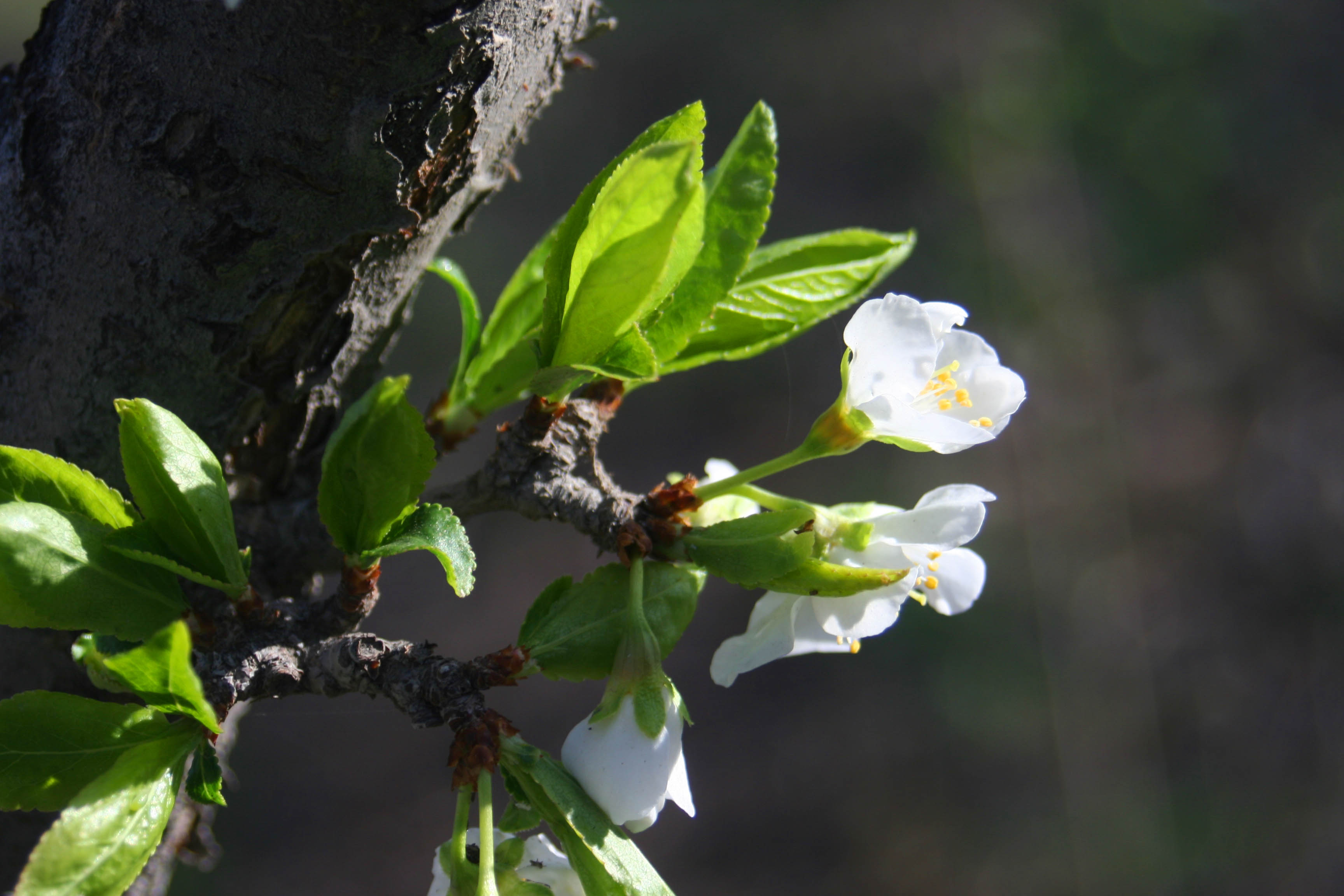 ���͹㳡 011 ����.jpg