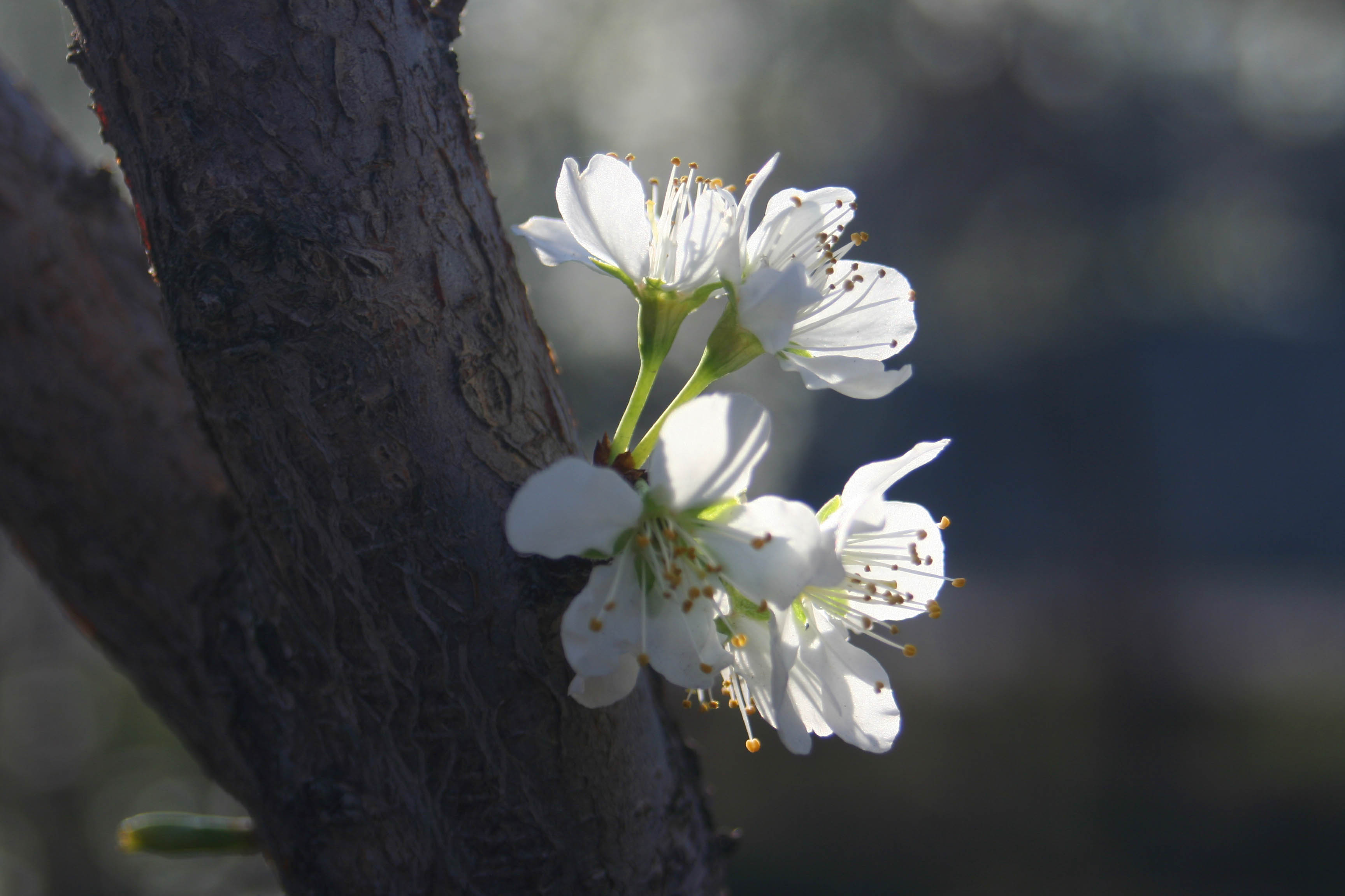 ���͹㳡 003 ����.jpg