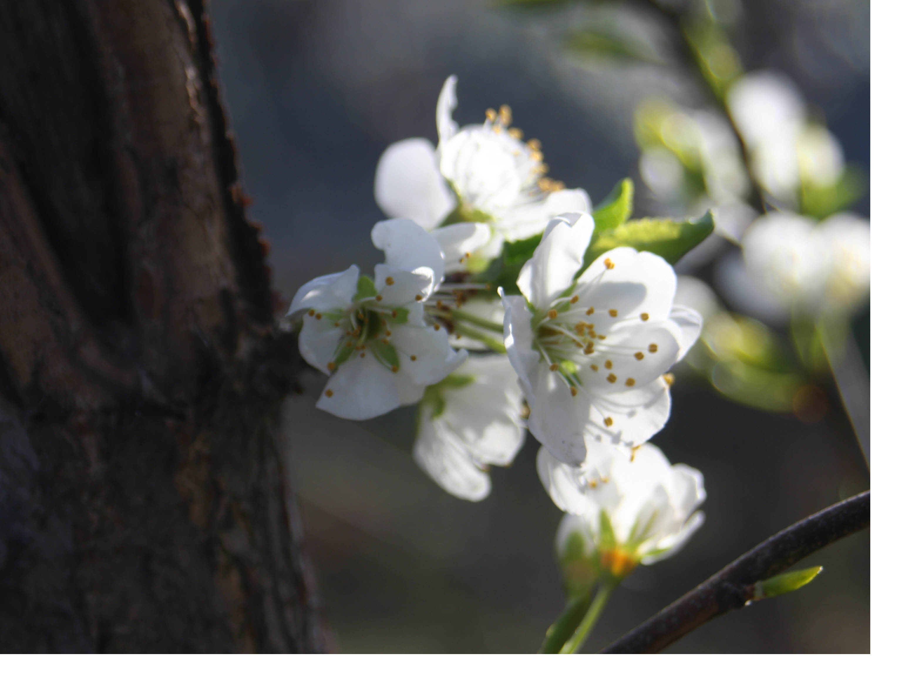 ���͹㳡 004 ����.jpg