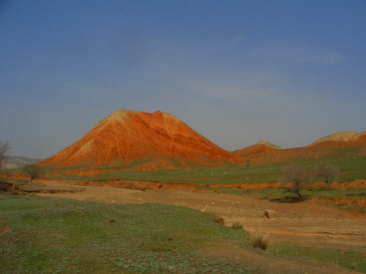 CIMG2409 ����.jpg