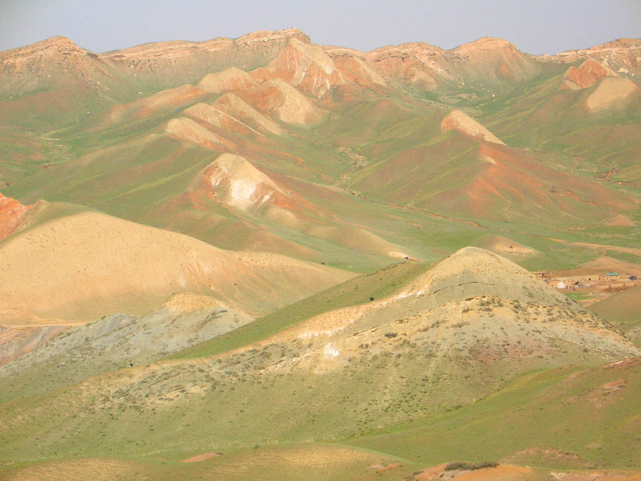 CIMG2486 ����.jpg