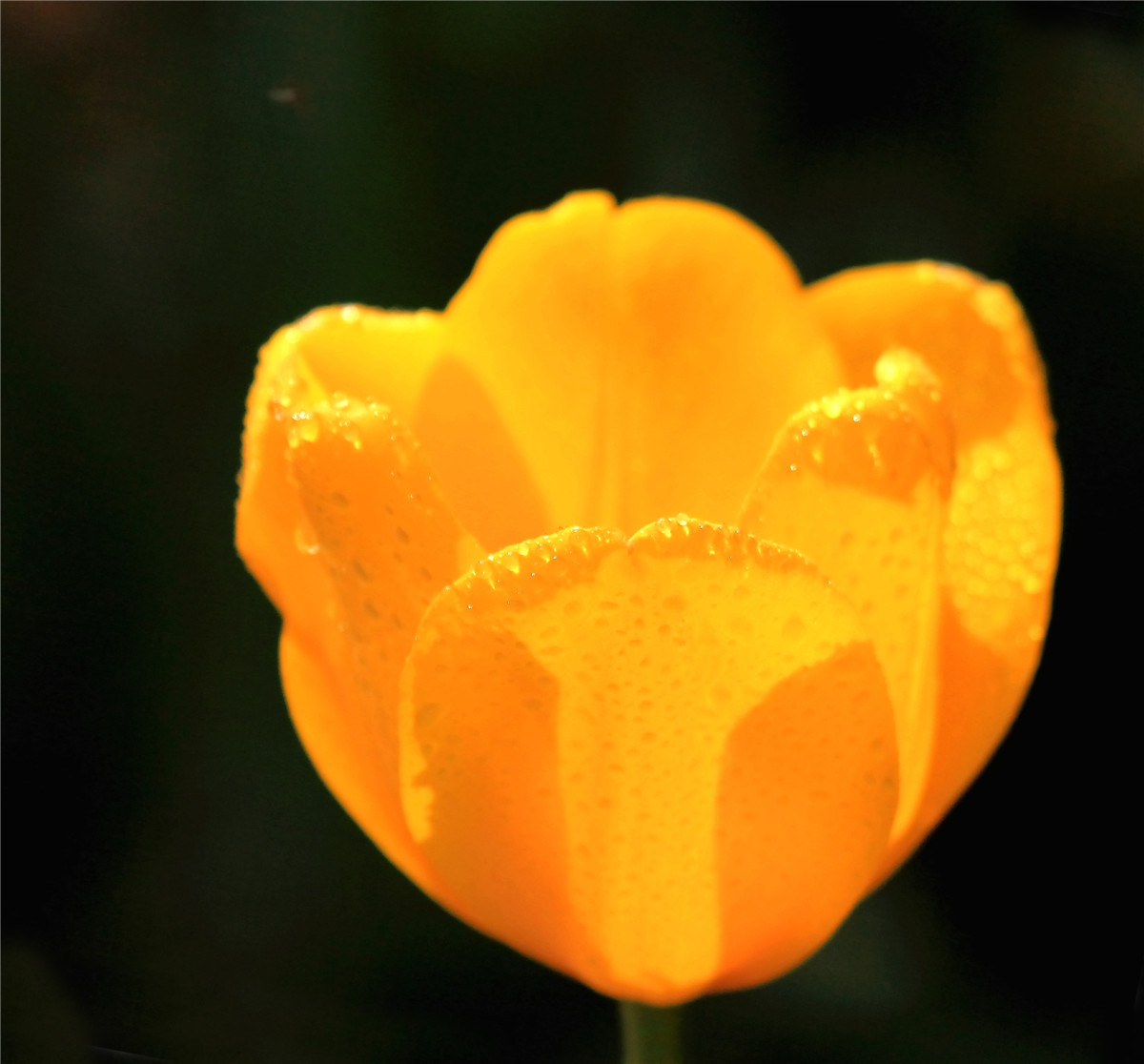 ������ (3).jpg