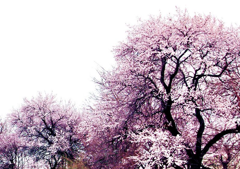 IMG_6926 ����.jpg