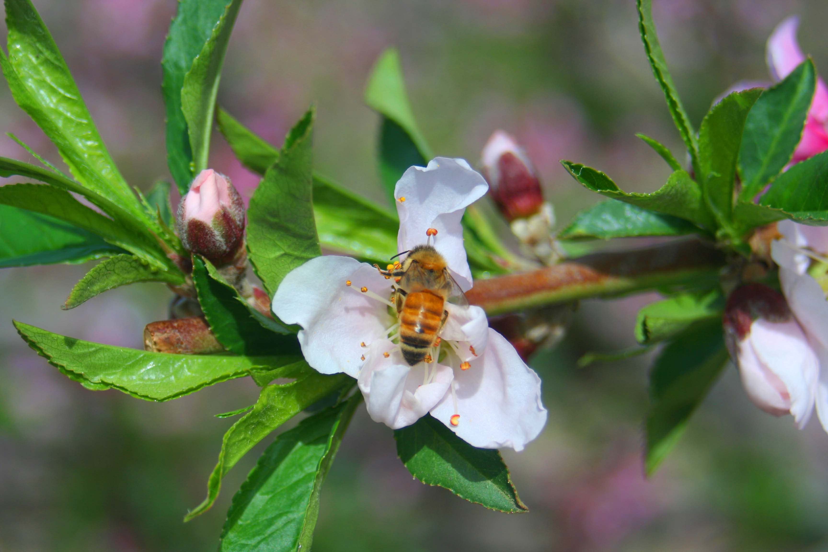 IMG_9057 ����.jpg