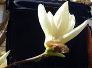 psb (2)_����_����.jpg