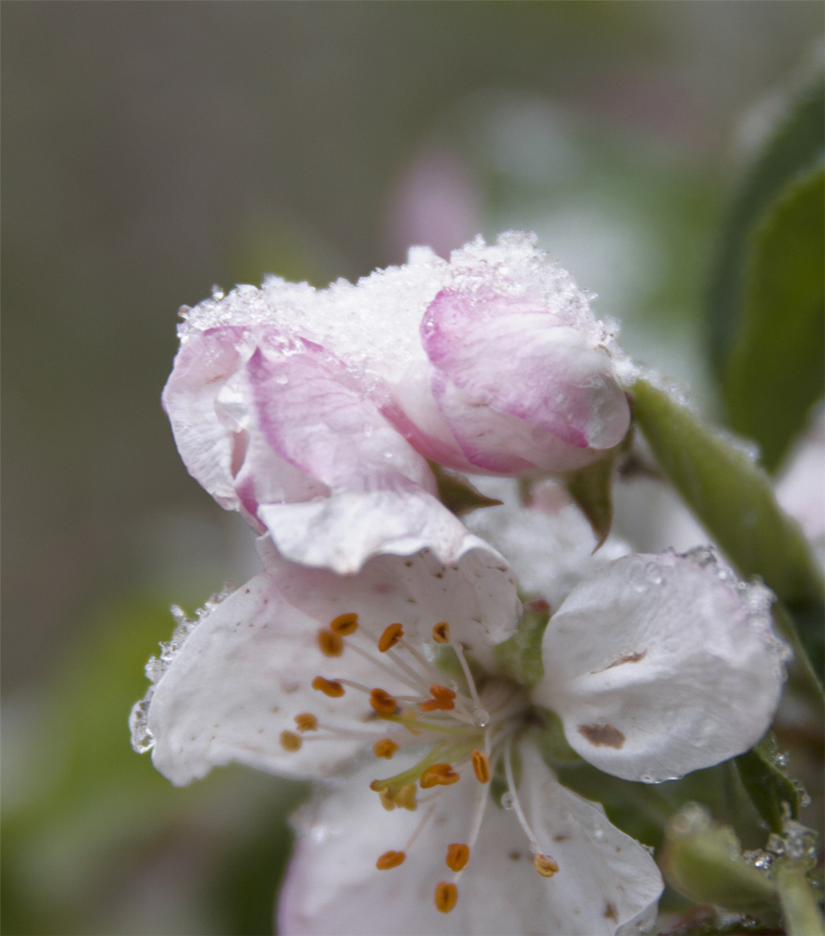 ƻ���� (1).jpg