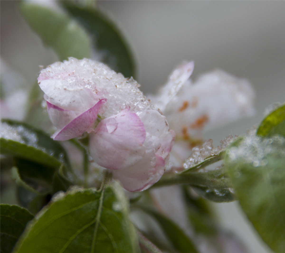 ƻ���� (4).jpg