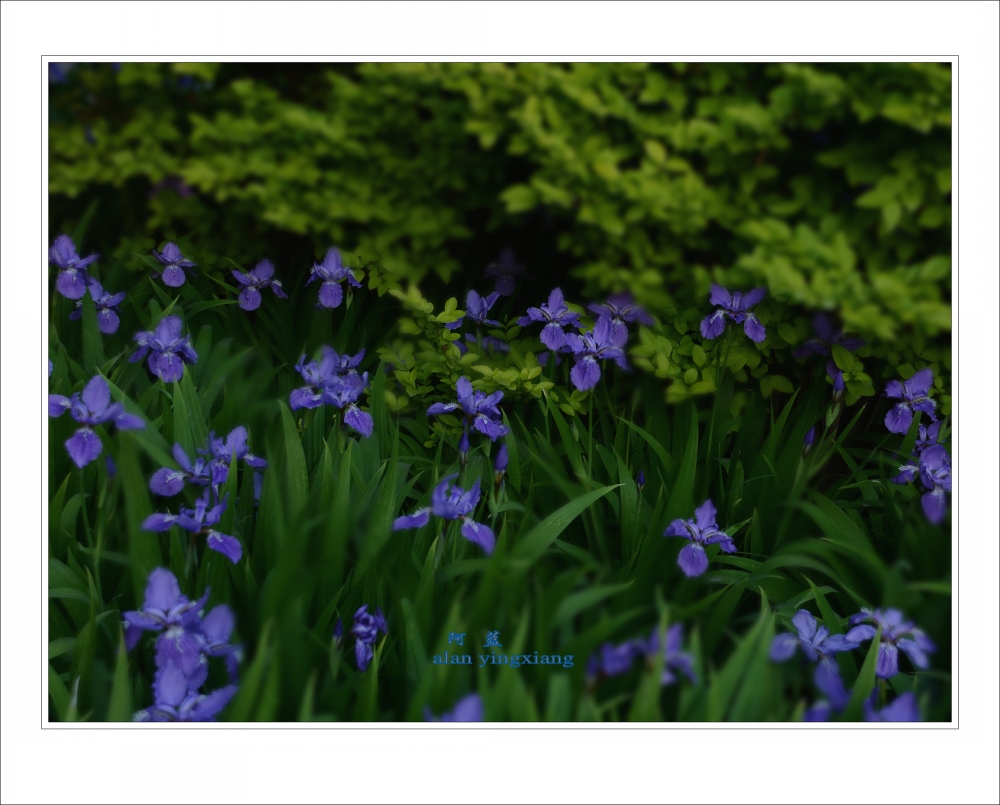 ��Ƭ 077_conew1.jpg