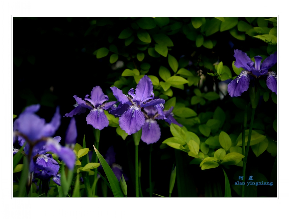 ��Ƭ 043_conew1.jpg