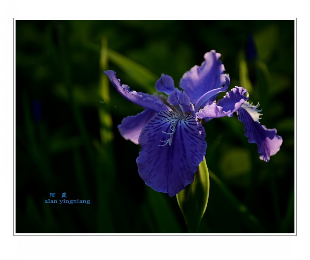 ��Ƭ 010_conew2.jpg