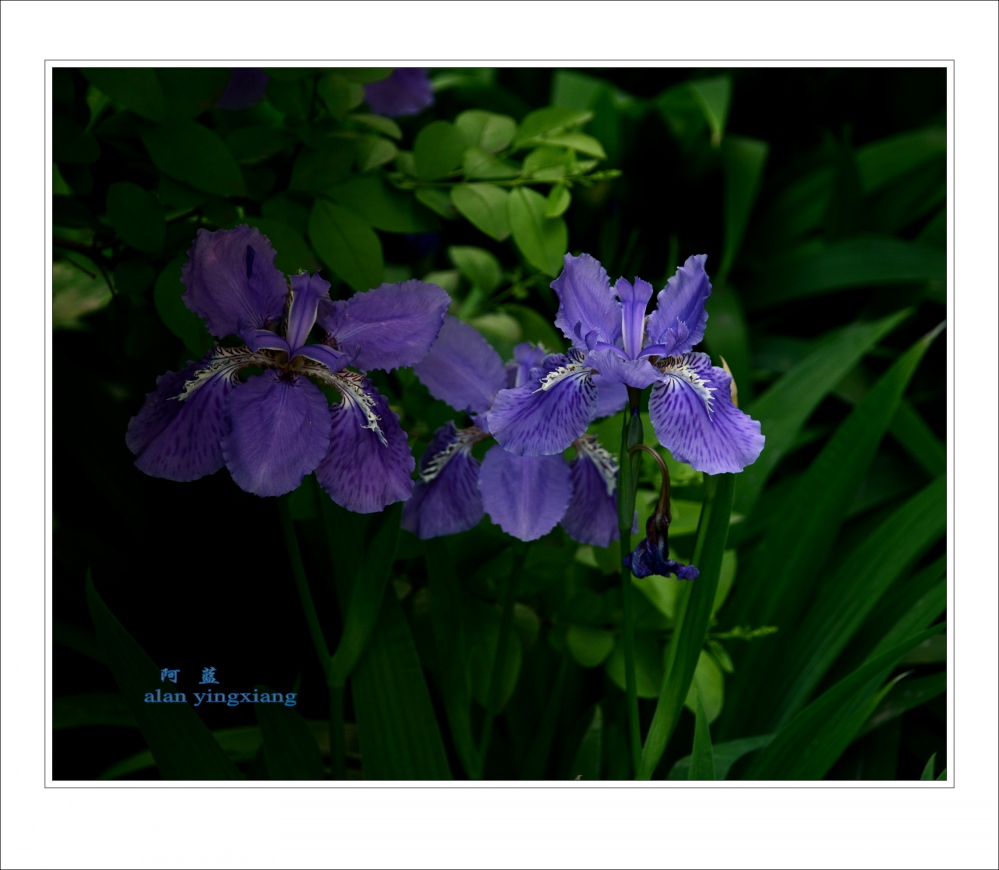 ��Ƭ 019_conew2.jpg