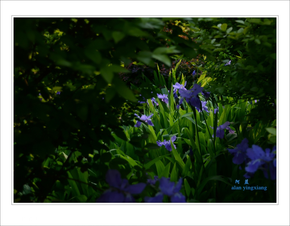 ��Ƭ 024_conew1.jpg