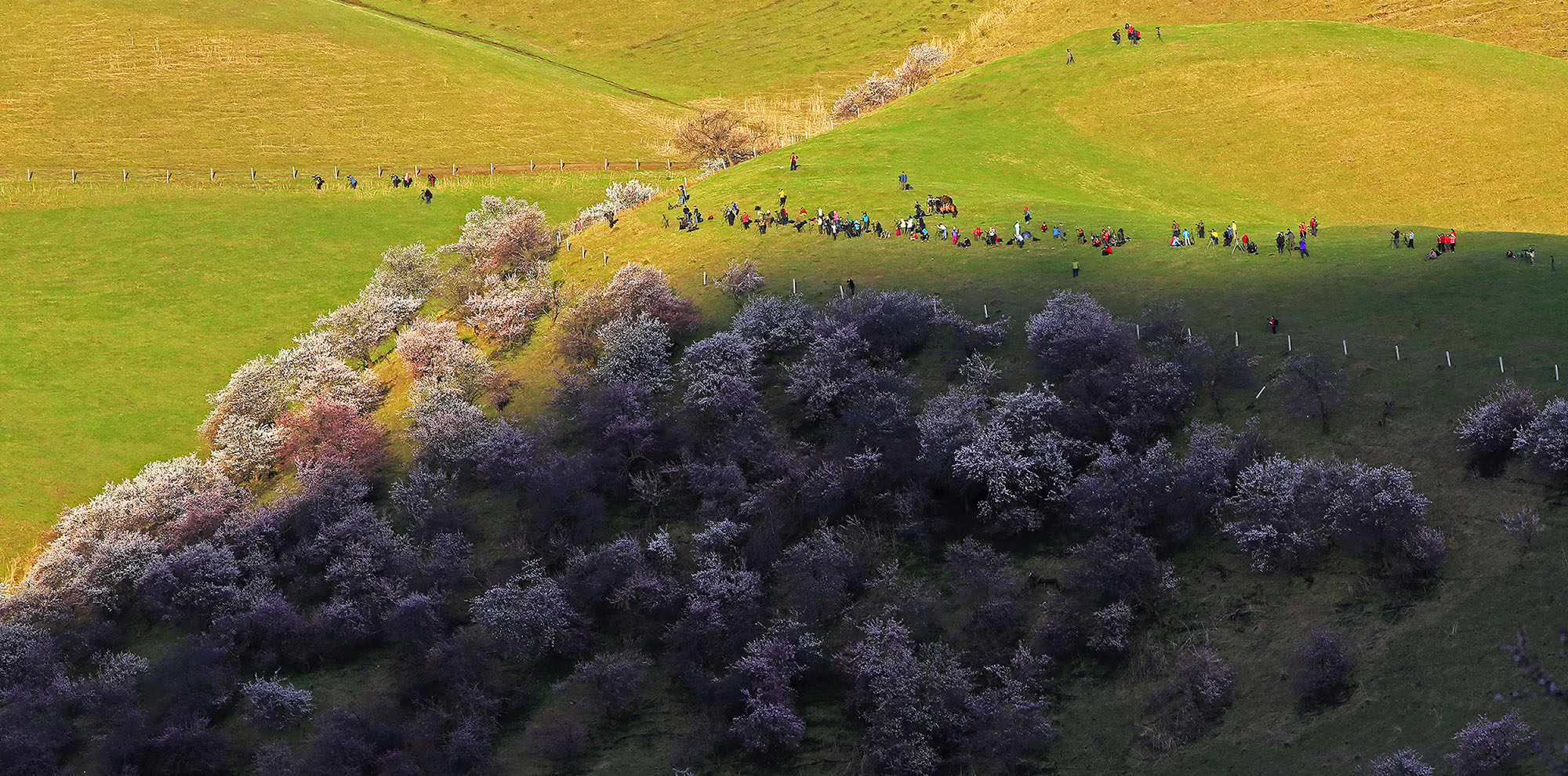 �ȴ����ʱ��