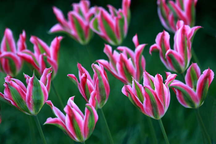 a600A0306 - ����.jpg