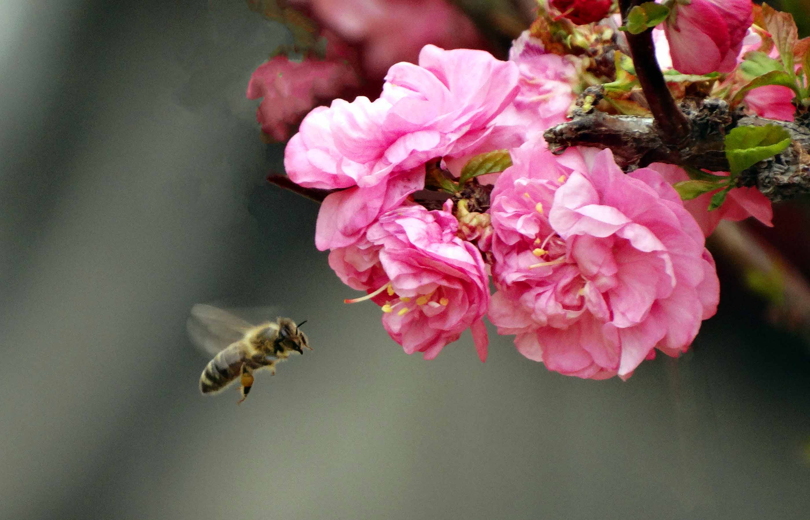 �仨�� (14).jpg