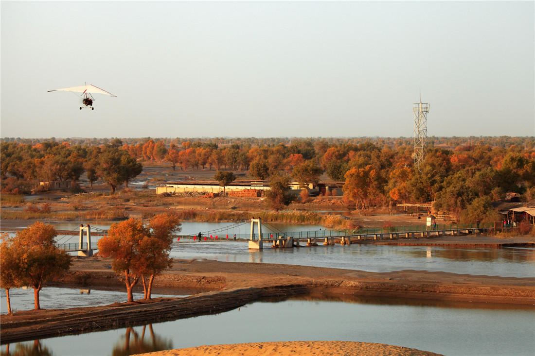 ���� (1).jpg