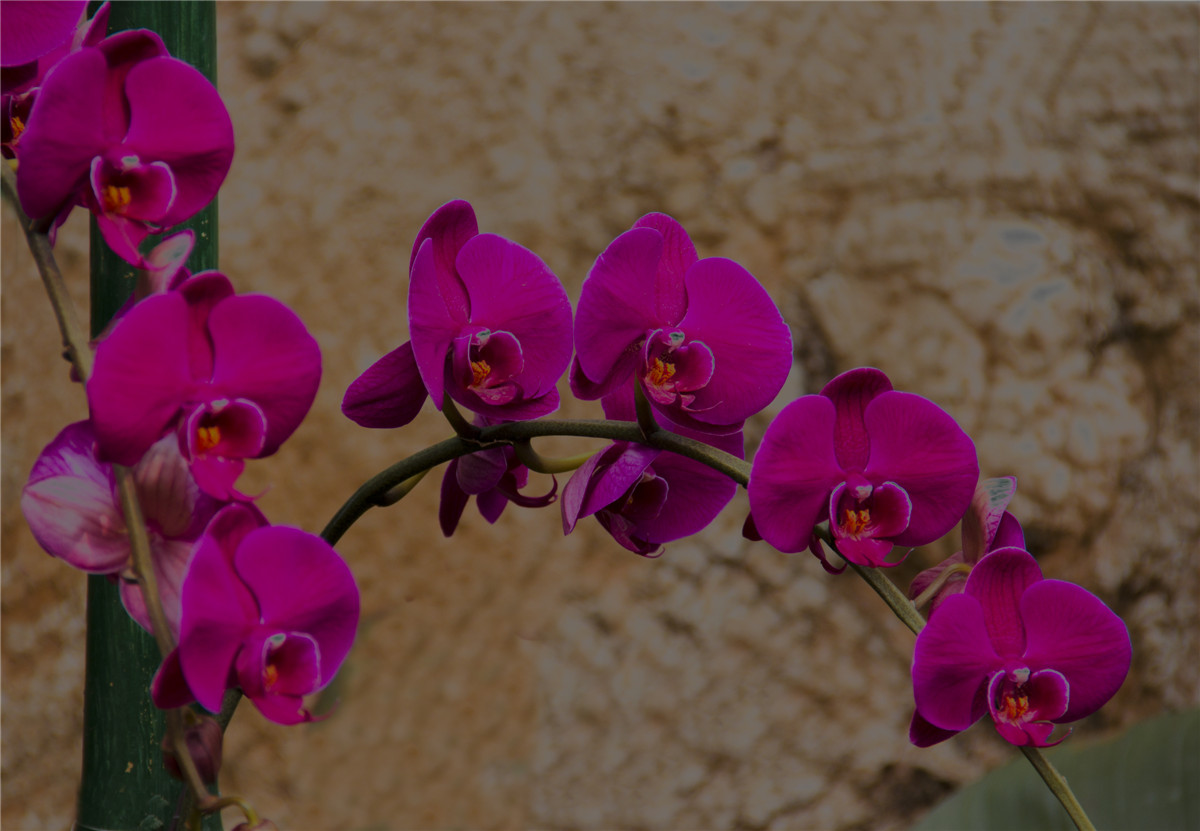 ������ (10).jpg