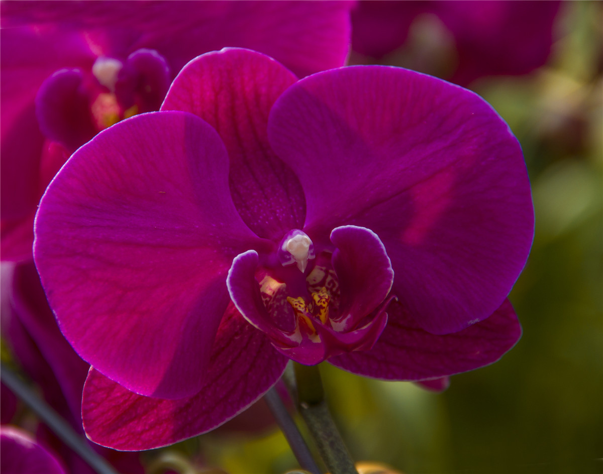 ������ (5).jpg