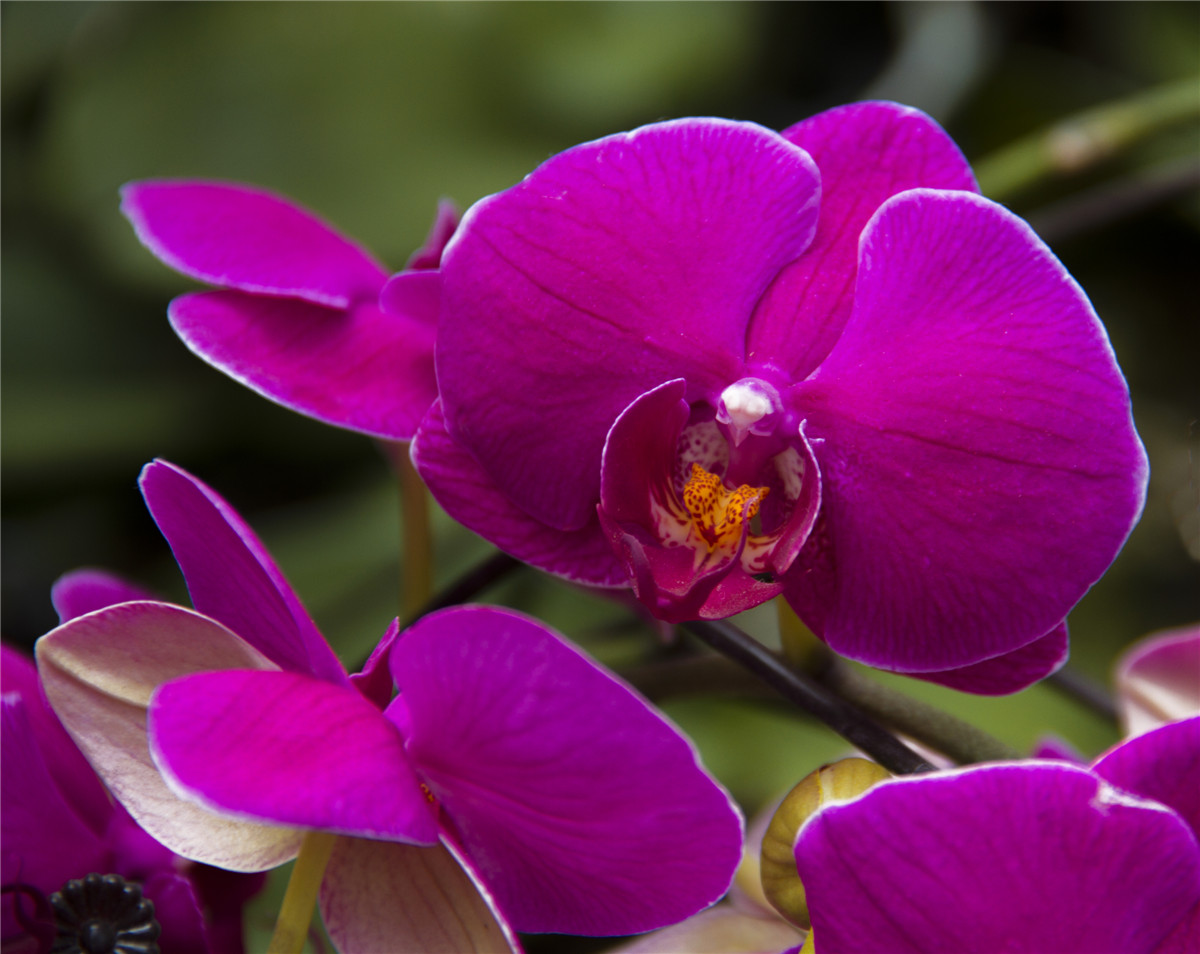 ������ (9).jpg