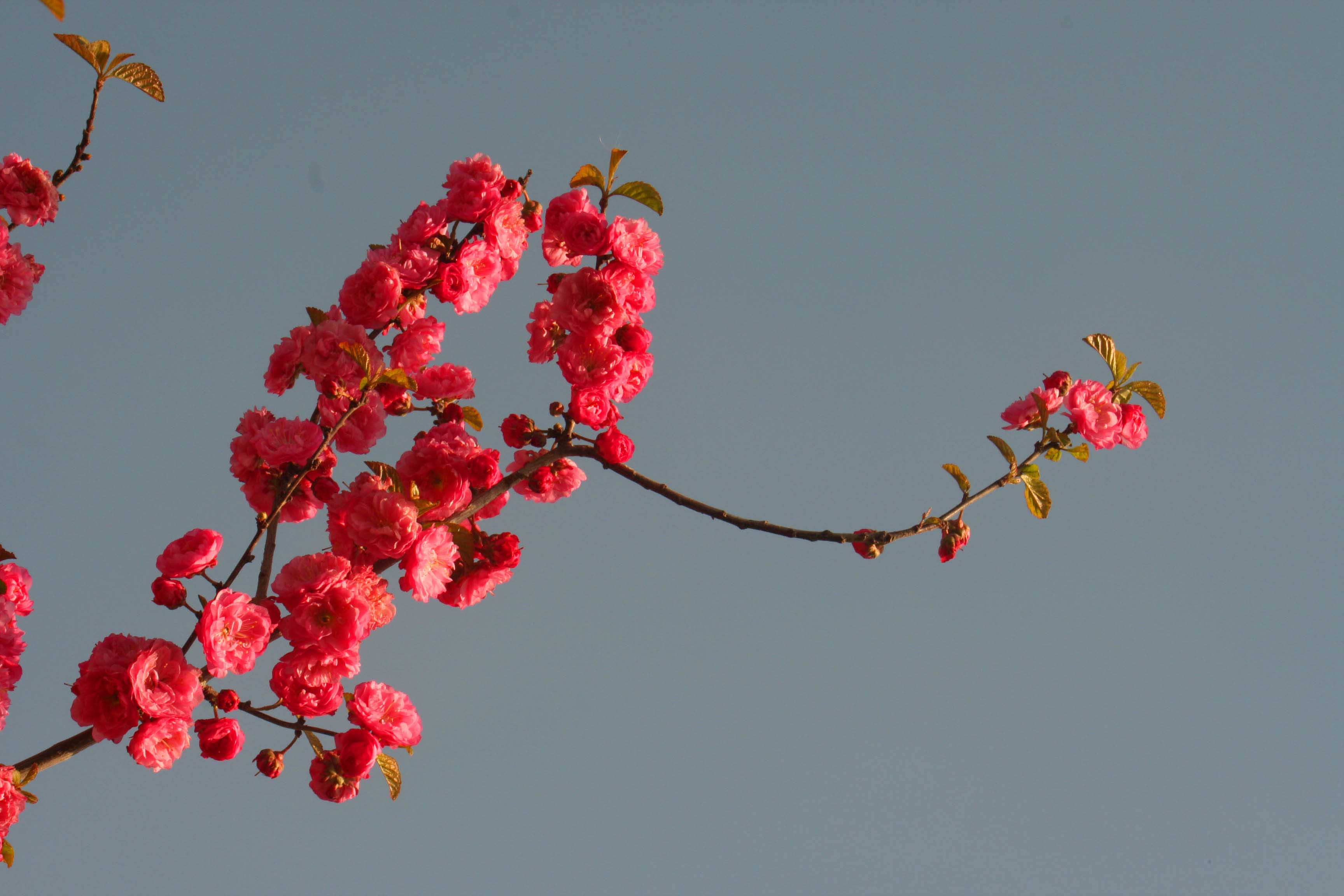 ���͹㳡 020 ����.jpg