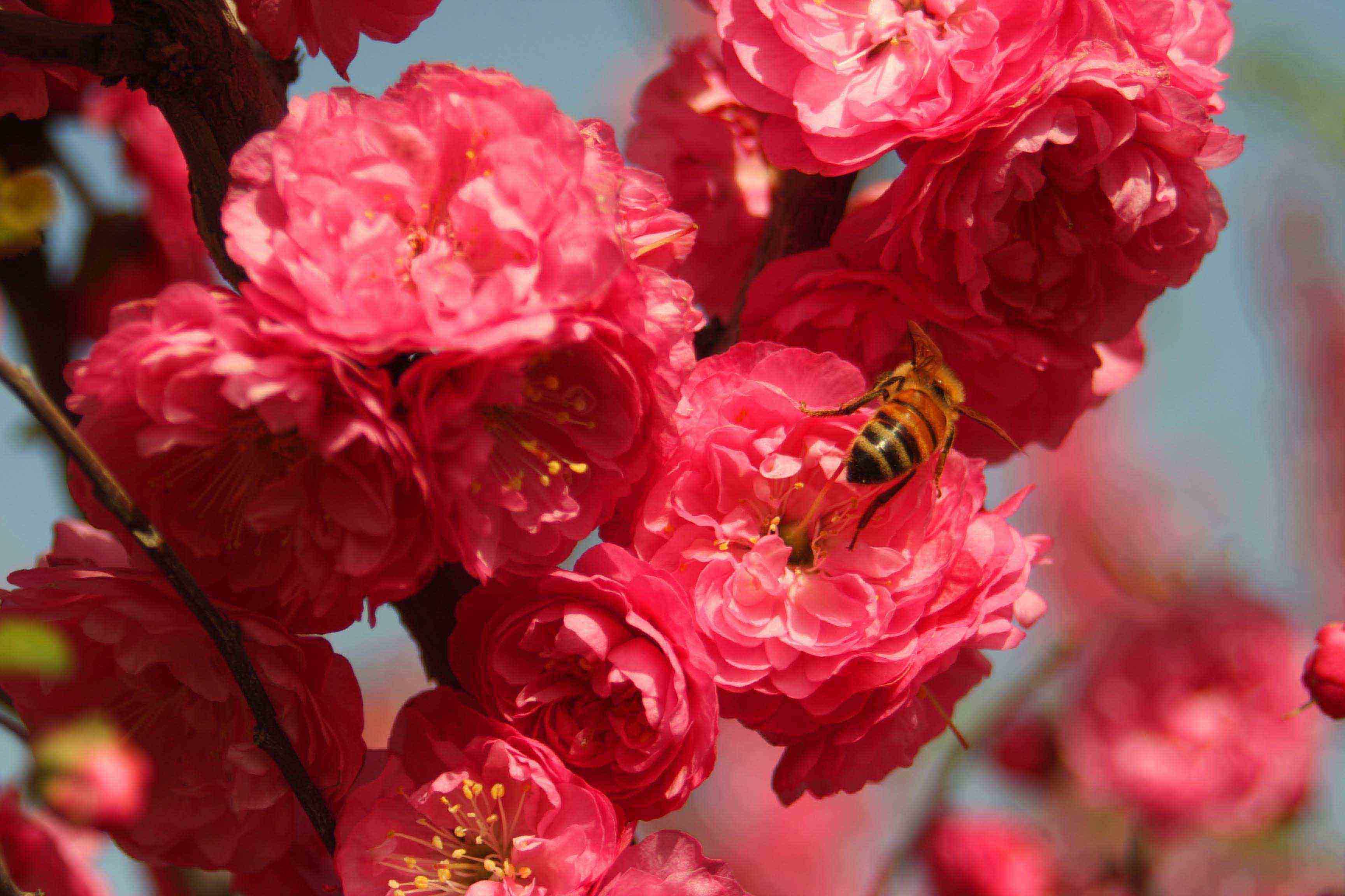 ���͹㳡 026 ����.jpg