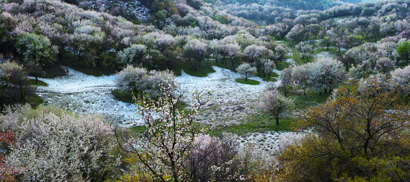 IMG_5987 Panorama-.jpg