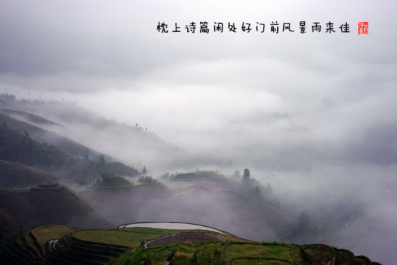 DSC00686.JPG