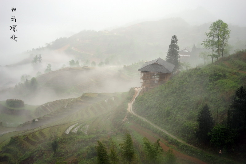 DSC00728.JPG