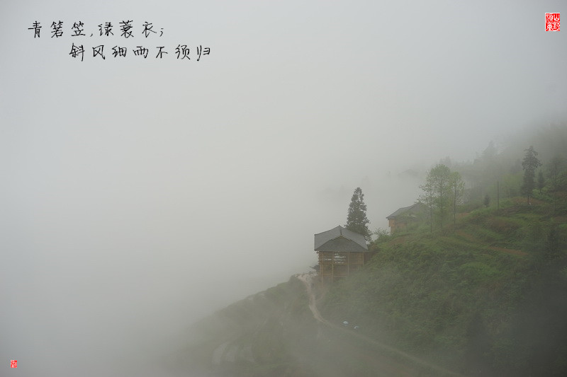 DSC00772.JPG