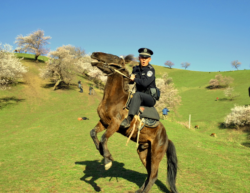 ��������  ������