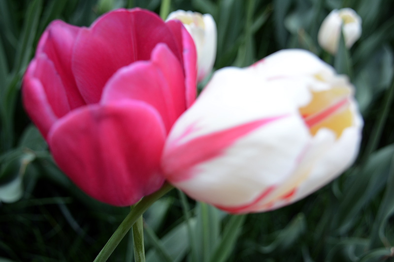 ���� 670ab.jpg