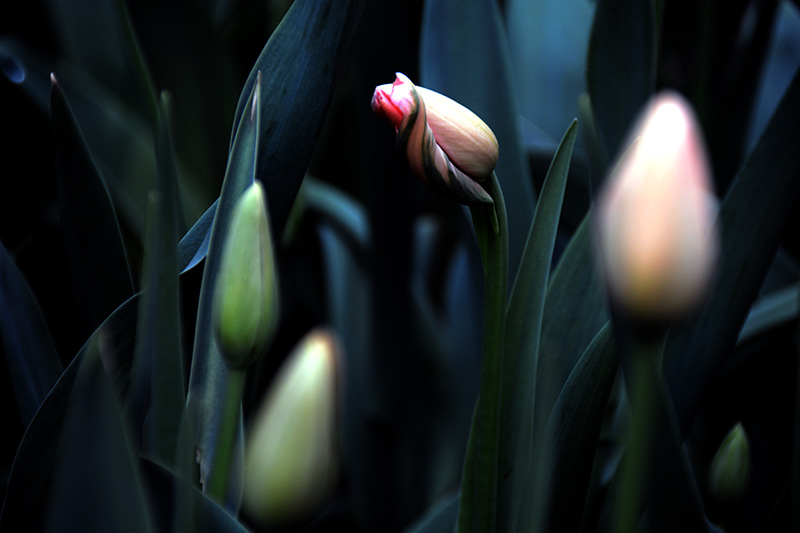 ���� 644ab.jpg