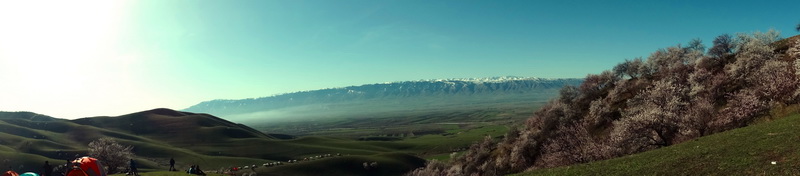 Ұ�ӻ�  ������